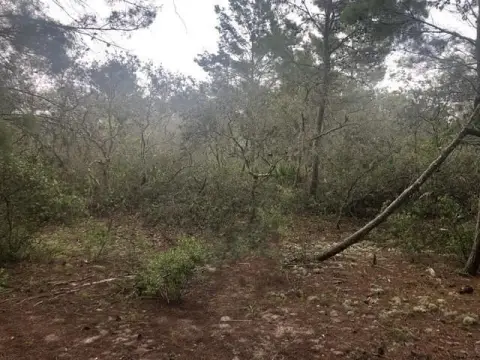 Recreational Land in Lake Wales