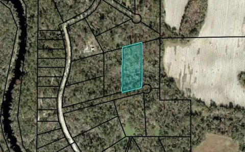 Secluded Lot Near Alapaha River