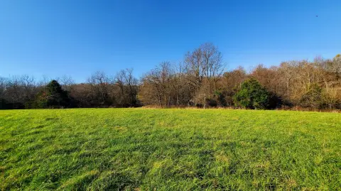 Residential Land in Republic, MO