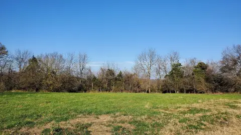 Residential Land in Republic, MO