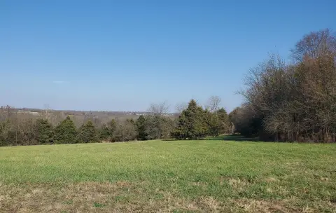 Residential Land in Republic, MO