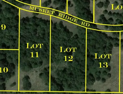 Residential Land in Republic, MO