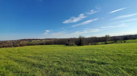 Residential Land in Republic, MO