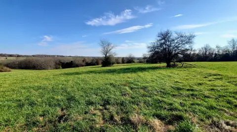 Residential Land in Republic, MO