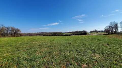 Residential Land in Republic, MO