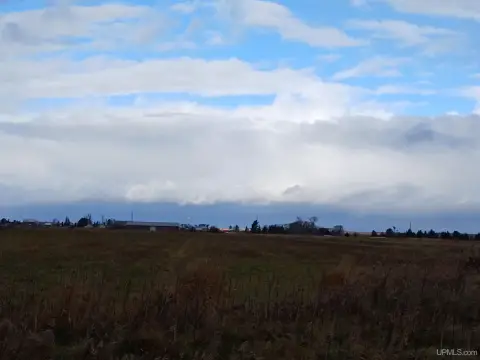 Timothy Hay Farmland
