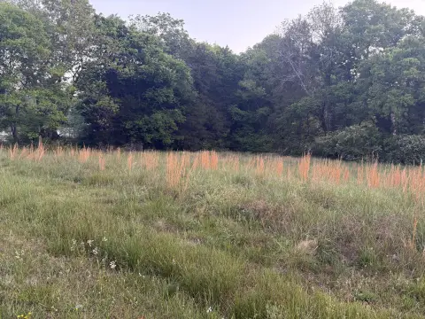 Residential Land in Flintstone, GA