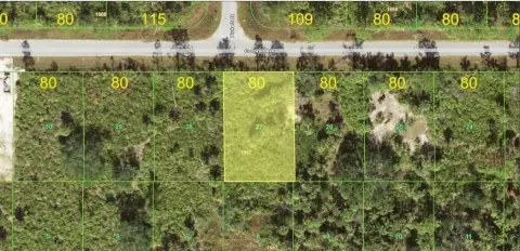 Residential Lot in Port Charlotte