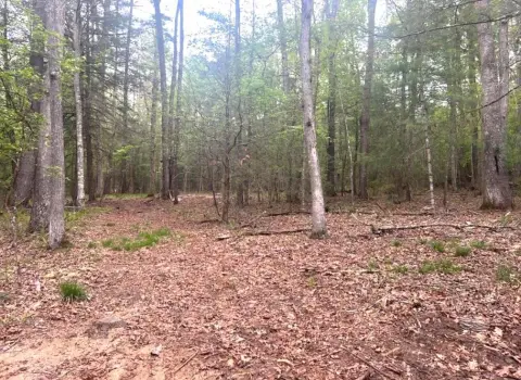 Lewisburg Wooded Lot For Sale