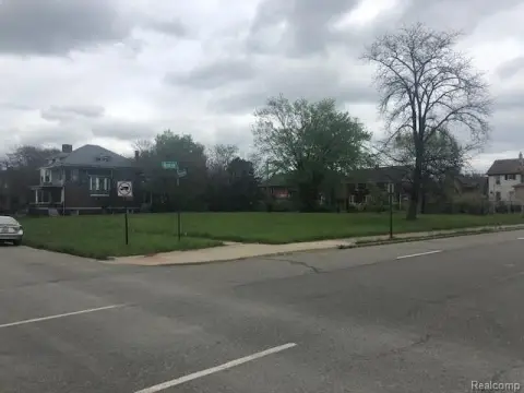 Detroit Land Opportunity Zone Infill