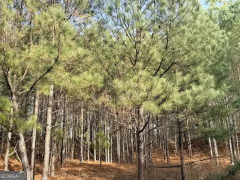 Residential Lot in Snellville, GA