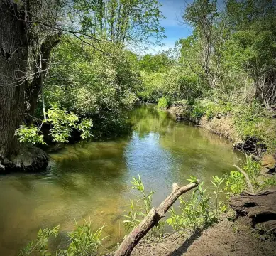 Chesterton Land with Creek Access
