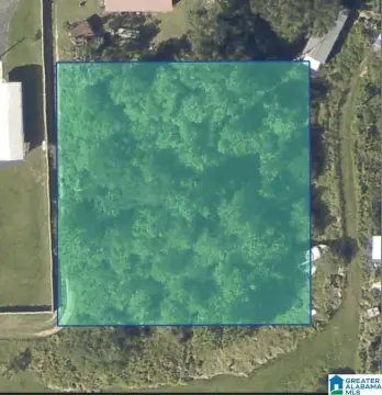 Undeveloped Land Near Foley, AL