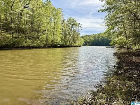 Waterfront Lot in Woodgate Shores