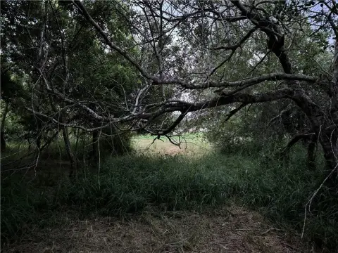5-Acre Land in Corpus Christi