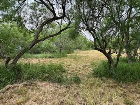 5-Acre Land in Corpus Christi