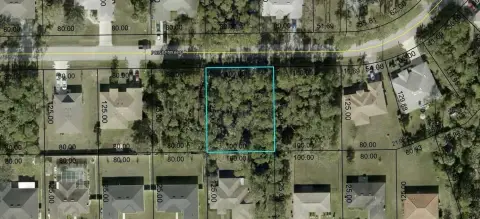 Palm Coast Oversized Lot