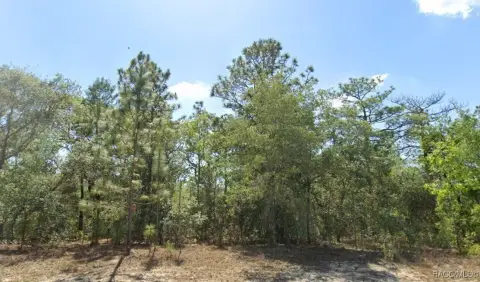 Citrus Springs Building Lot