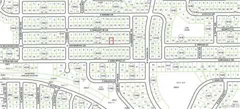 Land Near Dunnellon, Florida