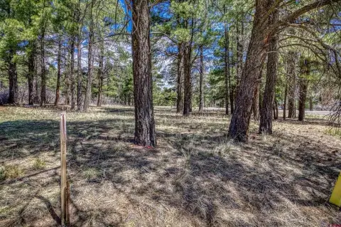 Pagosa Springs Build-Ready Corner Lot