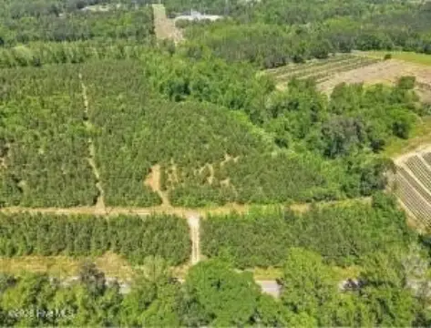 Wooded Land