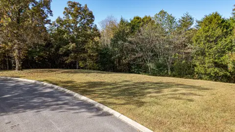 Partially Cleared Residential Building Lot