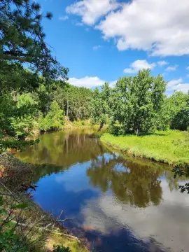 Wooded Waterfront Land