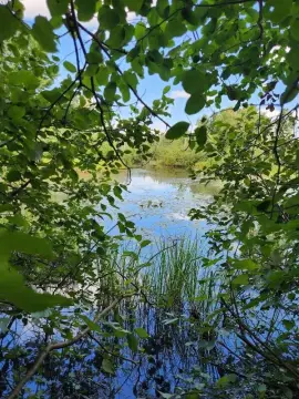 Wooded Waterfront Land