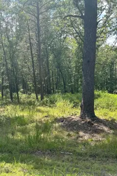 Residential Lot in Shirley, AR