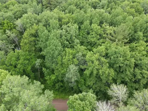 Wooded Residential Land Parcel
