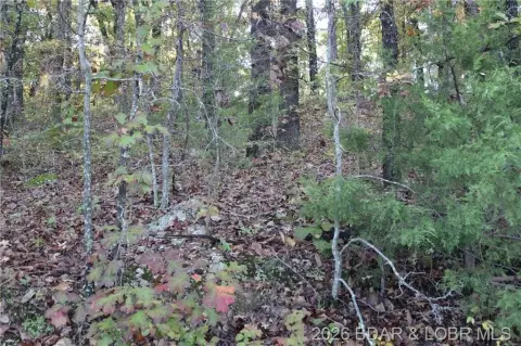 Wooded Lot Near Lake Access