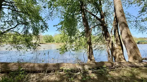 Riverfront Land with Direct Access