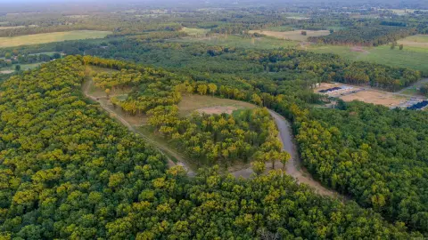 Recreational Hunting Land Tract