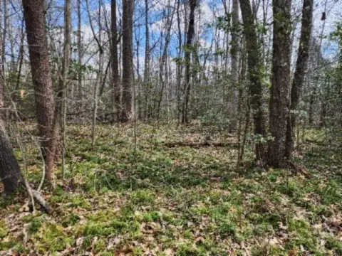 Secluded Wooded Land in Oneida