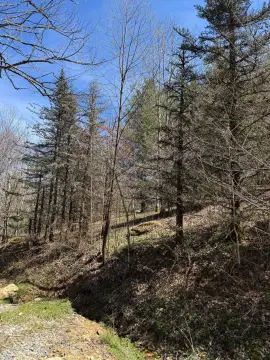 Unrestricted Land Near Banner Elk