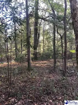 Zoned Agricultural Land Tract