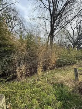 Residential Land Near Cedar Creek