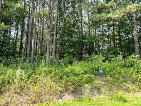 Lake Rhodhiss Estates Wooded Lot