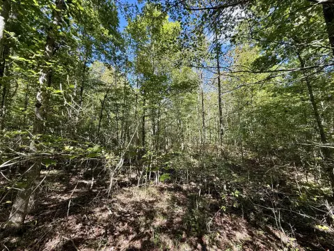 Cumberland Plateau 5-Acre Lot