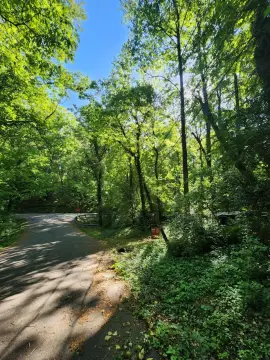 11 Acres of Untouched Land