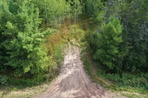 Wooded Hunting Land with Deer Stands