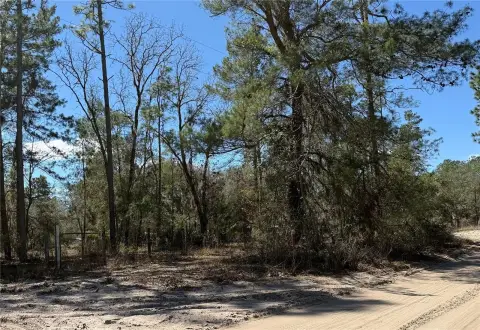 3-Acre Parcel in Fort McCoy