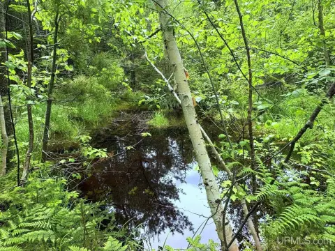 Recreational Hunting Land with Pond