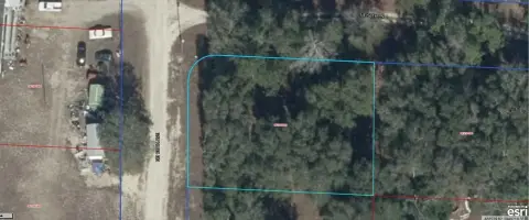 Vacant Lot in Williston, FL