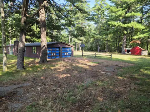 Wooded Recreation Land with Cabin