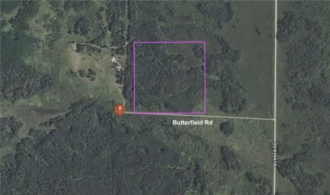 Wooded Hunting Land Parcel