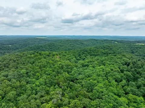 Hunting Land Tract