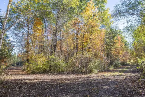 Wooded Recreation Land