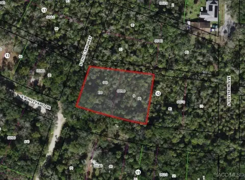 Homosassa Land Near Waterfront