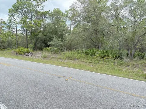 Weeki Wachee Land For Sale